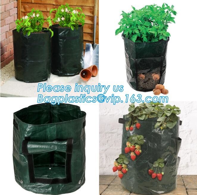 100% Biodegradable мульчирует, биологические процессы ухудшения, коробка плода, цветочный горшок, ткань джута, культивируя сумку, сеть джута, сеть