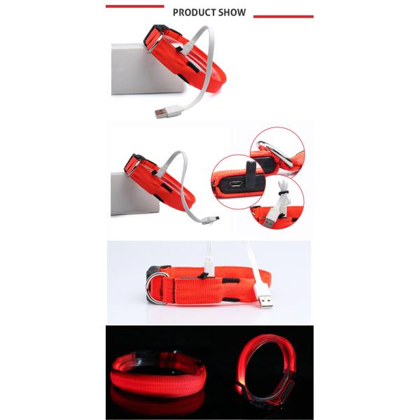 Glow In Night Waterproof Light Up Dog Collar Usb Rechargeable Dog Collar