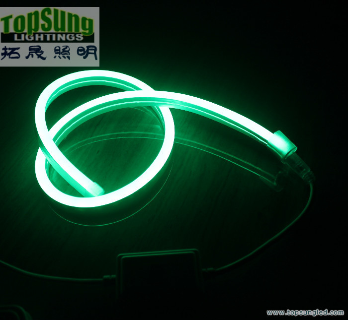 мини-размер RGB LED неоновый флекс 10 * 18 мм полный цветопеременный неоновый свет 110V SMD5050