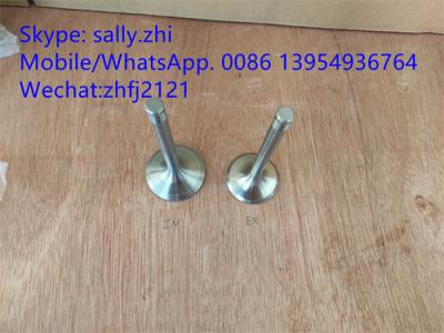 sdlg inlet valve 4110000054096/12159606  for Weichai Deutz TD226B WP6G125E22, weichai engine parts for sale