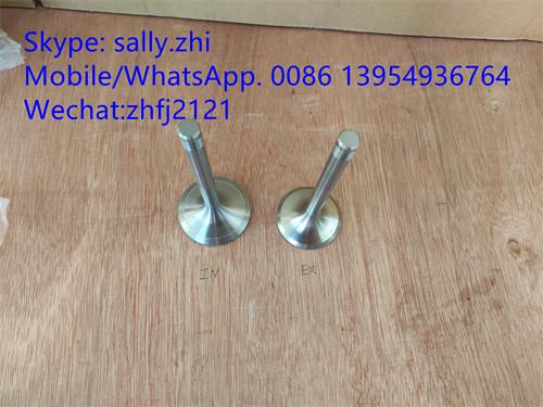 sdlg inlet valve 4110000054096/12159606  for Weichai Deutz TD226B WP6G125E22, weichai engine parts for sale