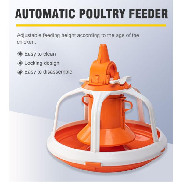 Big Hopper Poultry Farm Equipment PP Odm Hanging Chicken Feeder