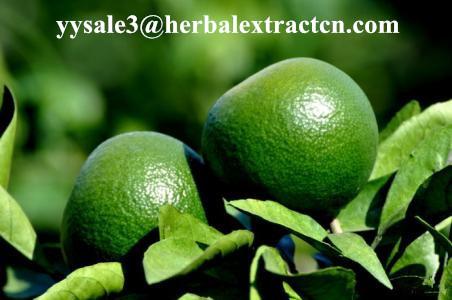 Hesperetin 98%,95% HPLC Light yellow needle crystal pure herbal ingredients
