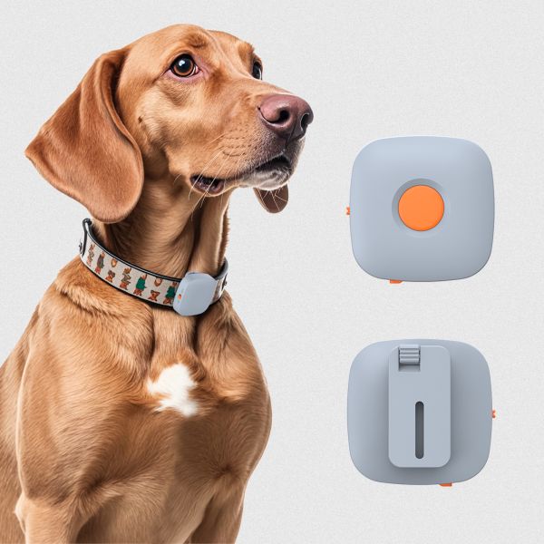 2025 Rechargeable Waterproof Eco-Friendly Plastic Dog Training Collar Non-Electric Anti-Bark Stop Device Vibration Training