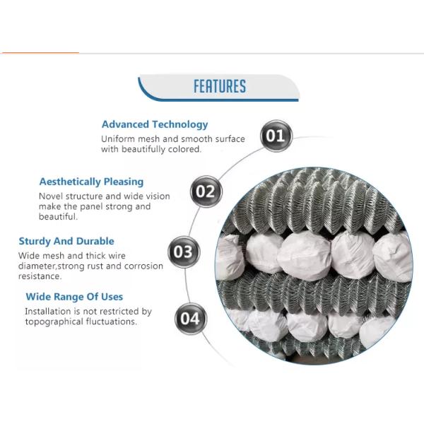 Металл 6 футов сетки звена цепи ограждая Pvc горячего погружения гальванизированный покрыл
