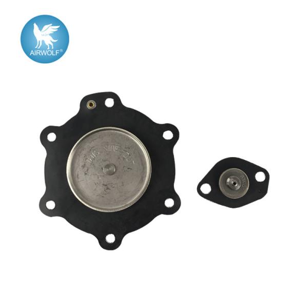 C113827 Diaphragm Repair Kit For ASCO SCG353A047 Pulse Valve