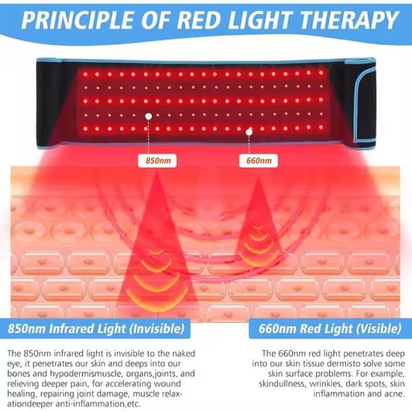 660nm 850nm Red Light Therapy Belt for Skin Care