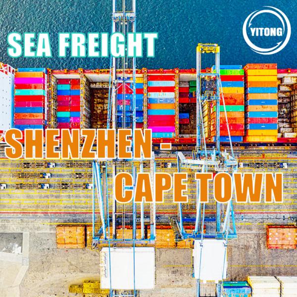 Shenzhen to Cape Town International Sea Freight Service  FOB CIF EXW  Trade Term