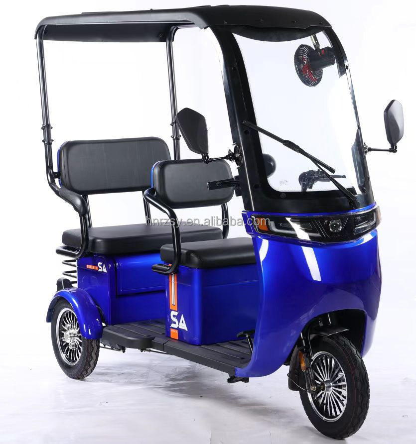 2024 Adult Cargo Electric Tricycle Motorcycle Bike Three Wheel Electric Tricycle 3 Wheel Single Gross Weight 75.000 kg