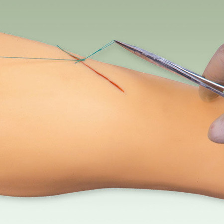Medical Surgery Training Model Vivid Leg Model for Surgical Instrument Demonstration
