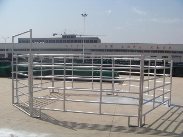 Rodent Proof Pvc Coated Livestock Fence Panels Metal