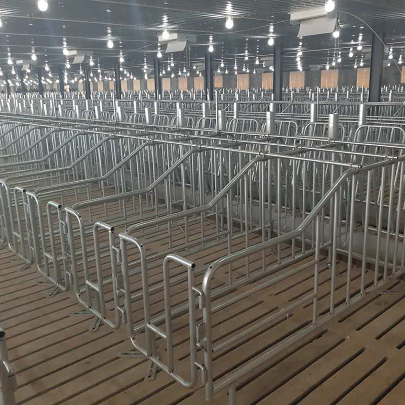 100 сельскохозяйственное оборудование Piggery ручки свини 2.4*0.6m