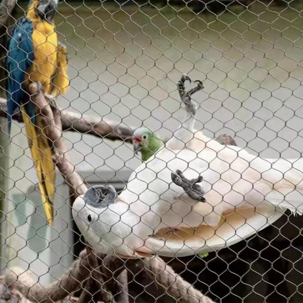 Stainless Steel Rope Mesh with Diamond Hole Shape UV Resistant and 10 Years Warranty for Zoo Fence and Aviary