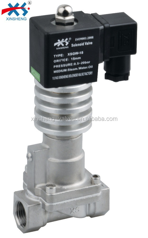 SS304/Brass High Temperature Solenoid Valve Standard Normally Closed XSGW Series 2 Way