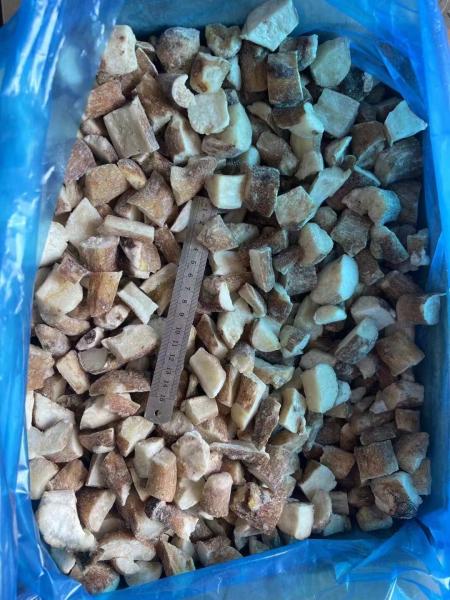 2025 New Crop high quality frozen Boletus Edulis Mushrooms