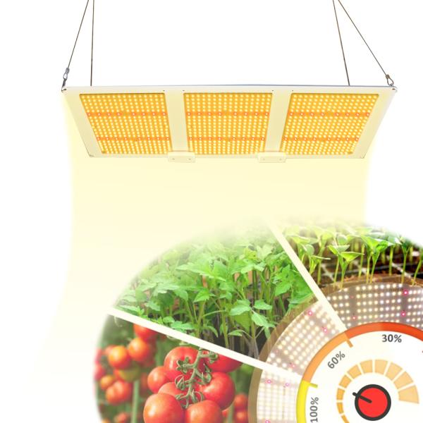 Dimming SMD2835 320W LED Light Quantum Board For Medicinal Plant