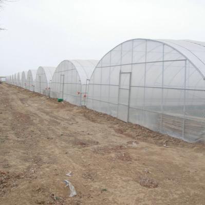 9x30m Plastic Tunnel Greenhouse Covered Plastic Film For Vegetable Growing