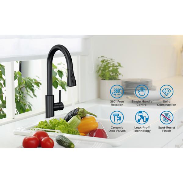 Brushed Nickel SUS304 Stainless Steel Faucet Sprayer For Kitchen Sink