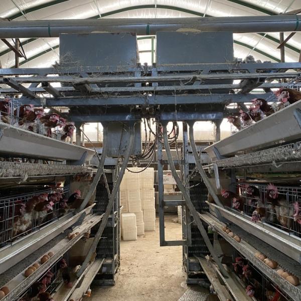 A Type 4 Tiers / Floors 128, 160 Birds Per Set Poultry Layer Cage For Laying Eggs