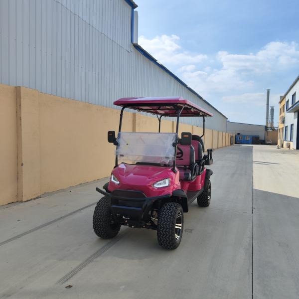 6 plazas de carrito de golf eléctrico rosa con batería de plomo