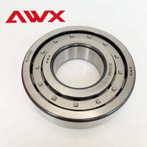 Brass Cage Material Full Complement Cylindrical Roller Bearings NJ2226E NJ2227E  For High Precision Applications