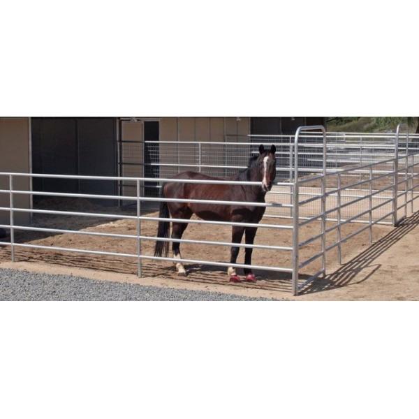 Australia Portable Farm Livestock Steel Fence Panels Galvanized For Cattle