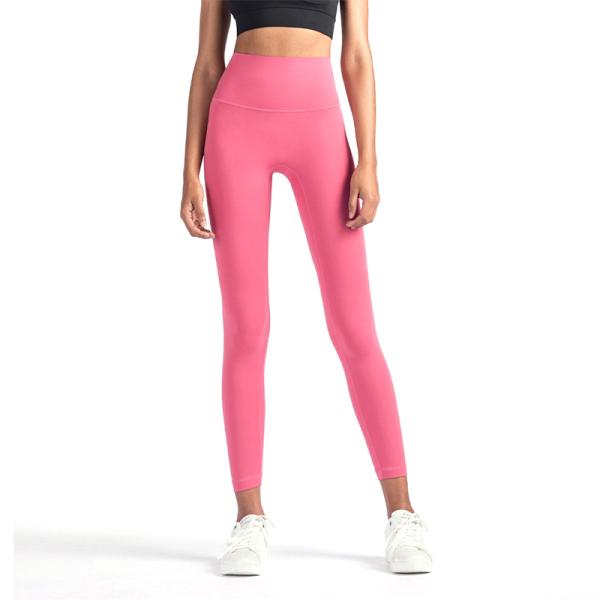 Colourful High Waisted Seamless Gym Leggings Snagging Resistance