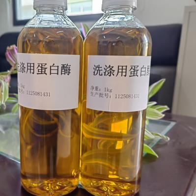 Microbe Fermentation Production Technology Alkaline Protease with Dry Storage Conditions ' Requirements