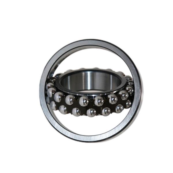 Chrome Steel Self Aligning Ball Bearings High Precision 1202 High Quality Factory Price