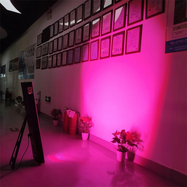 OEM Красный свет терапия полный корпус панели NIR 7 длин волн светодиодного света инфракрасного устройства