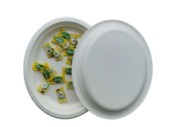 10 / 12 Inch Oval  Restaurant Nature Bagasse Paper Plates