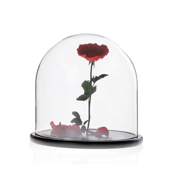 Estilo vitoriano personalizado do vintage de vidro de Handblown da exposição da abóbada de Homeware