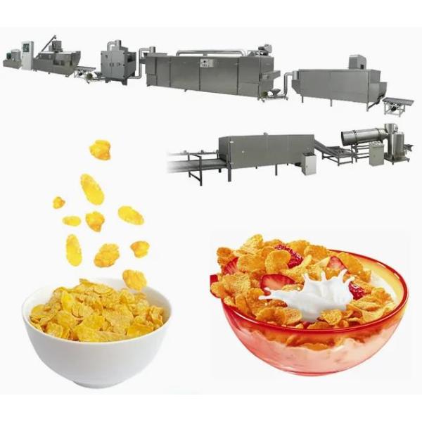 Cereales de desayuno, línea de transformación de las avenas/fabricación de la máquina/del secador de las avenas