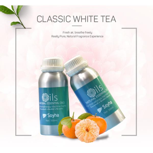 100 High Purity Plant Essential Oil Garden After The Rain Fragrance