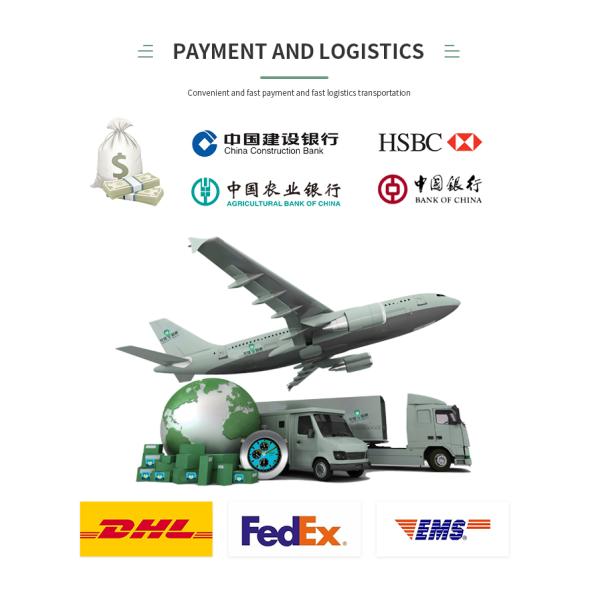 Коннектор для монтажа женской панели на заказ Industrial Rj45 IP65 Connector