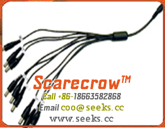 Scarecrow™ DC1FS8M DC Splitter 1 Female (Plugs) to 8 Male (Jack)