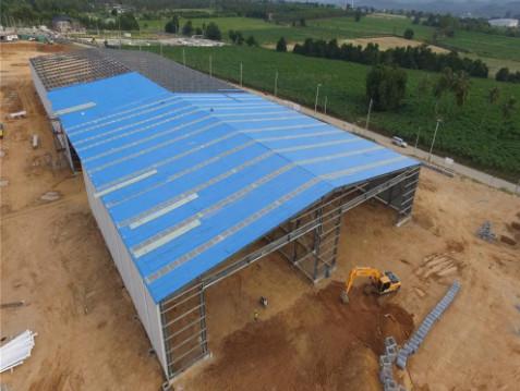 Environmental Friendly Innovative Steel Structures Cattle Cow Steel Framed Farm Buildings