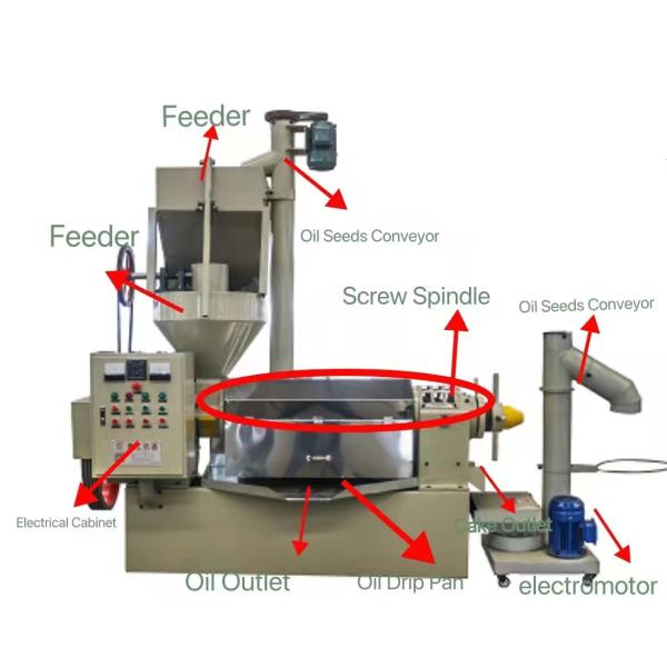 8-10 Tpd Oil Mill Seed Oil Press Machine Cold Press Oil Extractor With Control Panel