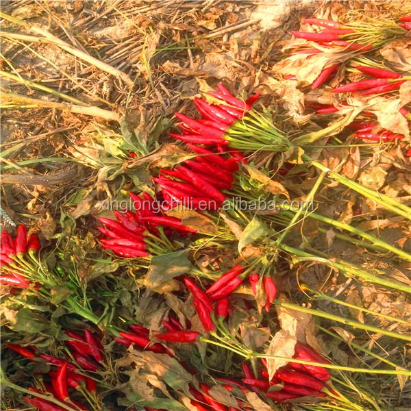 Organic De Arbol Chili Tianjin a séché les poivrons épicés 50000 SHU Super Hot