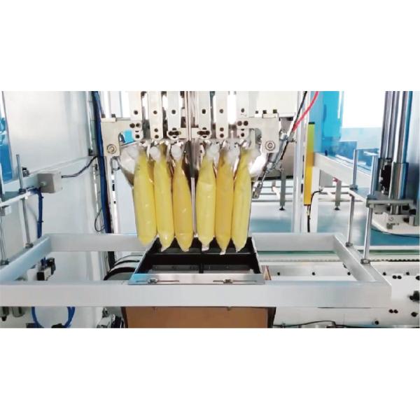 Оборудование для упаковки салатных заправок в картонные пакеты с наклонным носиком