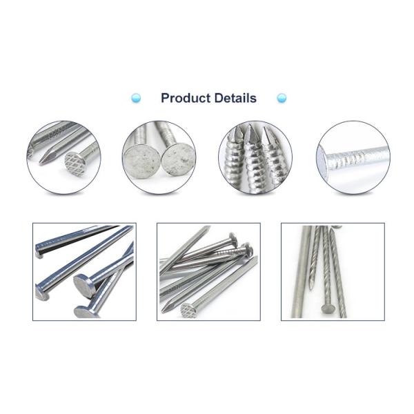 Flat Head Galvanized Common Iron Wire Nails Hardened Steel Concrete Nails