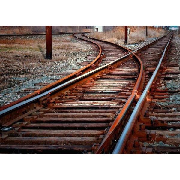 Reliable International Rail Freight Xiamen - Europe / Asia Railway Transport Services