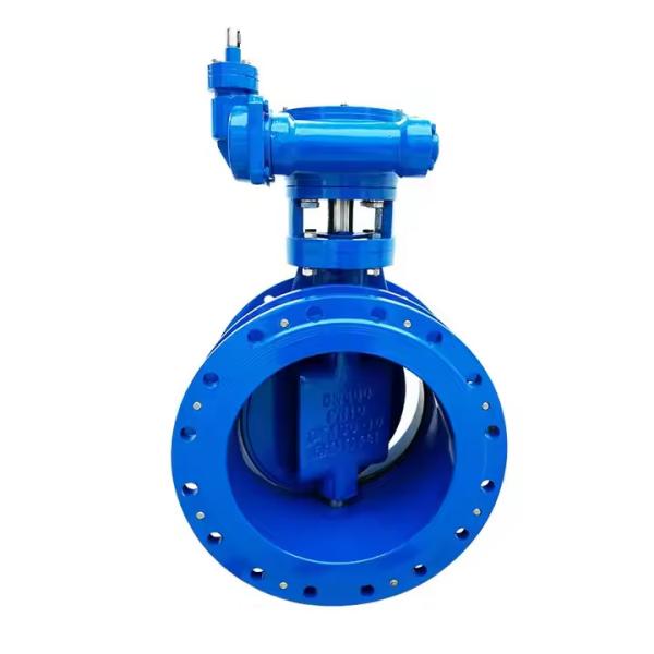 OEM Manual Double Eccentric Flanged Butterfly Valve EPDM Seat PN16 Turbine Cast Steel