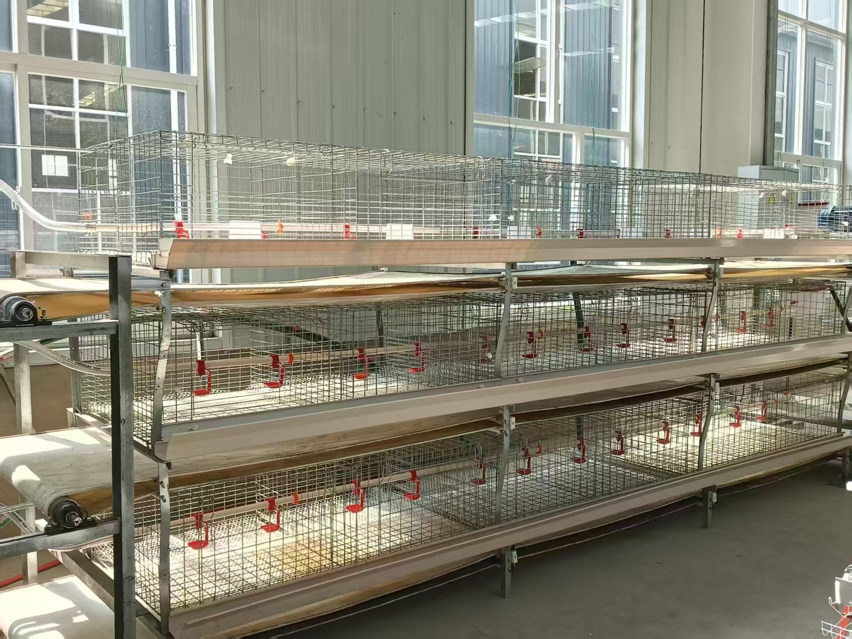 Hot-dip galvanized steel poultry chicken cage with automatic feeding system for 8 hens per cell