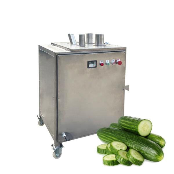 Multifunctional Green Onion Vegetable Chopper/ Vegetable Cutting Machine /Potato Fruit Vegetable Cutter