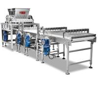 Atasco del ISO 9000 220V 2.5KW que inyecta al depositante de la torta de esponja