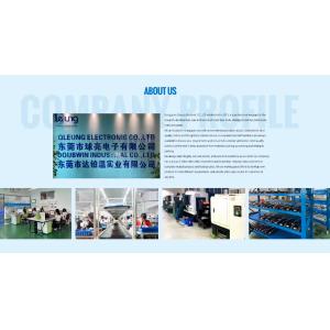 Dongguan Qleung Electronic Co., Ltd.