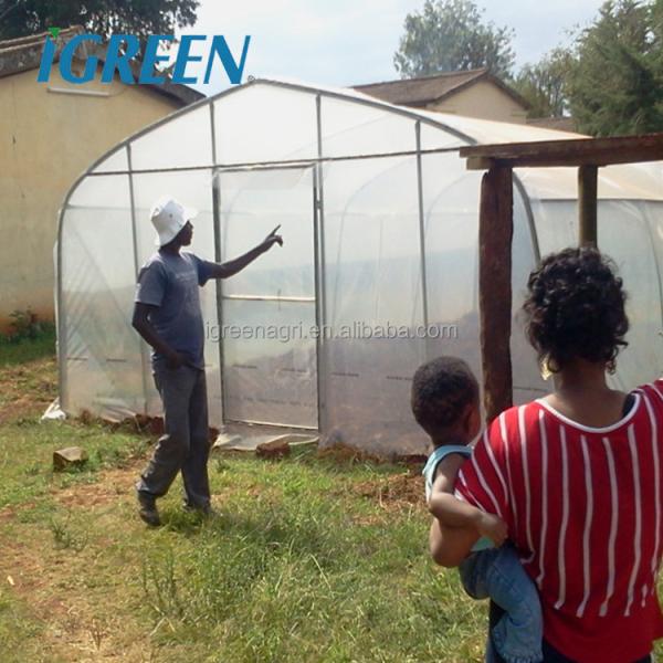 Vegetable Single Span Greenhouse Customized Small Outdoor Greenhouses IGreen