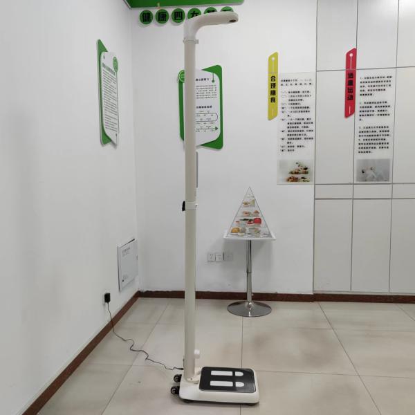 Foldable Body BMI Weighing Scale for Accurate Weight and Height Measurement N.W. 20kg