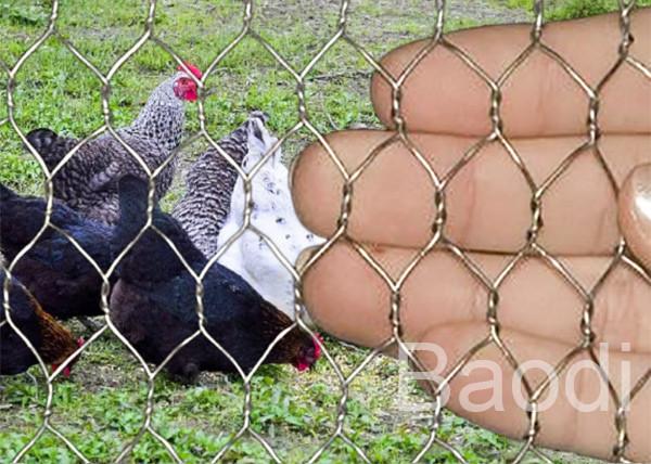 Stainless Chicken Wire Fabric For Rabbit Protection , Low Carbon Steel Chicken Yard Fence 